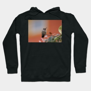 Hummingbird Hoodie